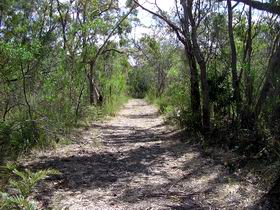 Lanky's Walk - Tourism Noosa 0