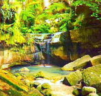 Carnarvon Gorge Carnarvon National Park - Tourism Noosa