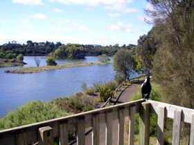 Lake McIntyre - Tourism Noosa 0