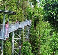 Mamu Tropical Skywalk - Tourism Noosa