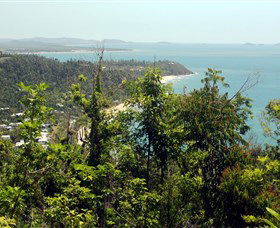 Clump Mountain National Park - Tourism Noosa 1