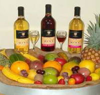 de Brueys Boutique Wines and Functions Venue - Tourism Noosa