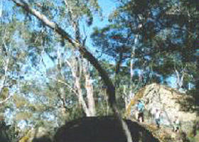 Lake Mundi ACT Tourism Noosa