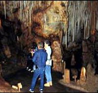 Tantanoola Caves Conservation Park - Tourism Noosa