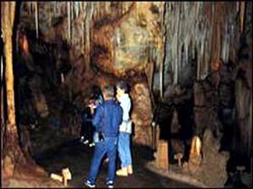 Tantanoola Caves Conservation Park - Tourism Noosa 0