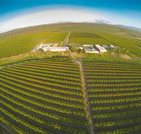 Golden Drop Winery - Tourism Noosa