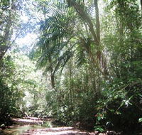 Mount Lewis National Park - Tourism Noosa
