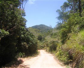 Mount Lewis National Park - Tourism Noosa 2
