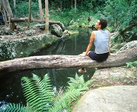 Barron Gorge National Park - Tourism Noosa 1