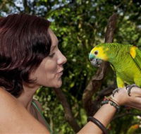 Birdworld Kuranda - Tourism Noosa