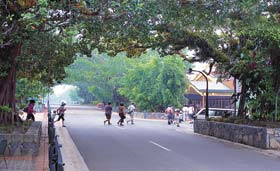 Kuranda - Village In The Rainforest - Tourism Noosa 1