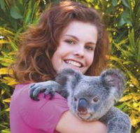 Kuranda Koala Gardens - Tourism Noosa