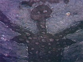 Quinkan Reserves Ancient Rock Art - Tourism Noosa 0