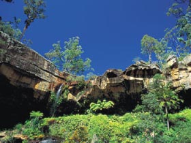 Blackdown Tableland National Park - Tourism Noosa 1