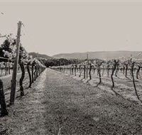 Halls Gap Estate - Tourism Noosa