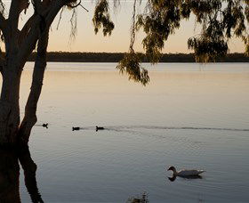 Lake Elphinstone - Tourism Noosa 2
