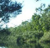 Crawford River Regional Park - Tourism Noosa