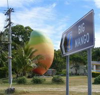 Big Mango - Tourism Noosa