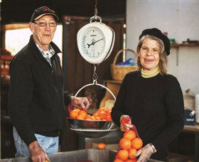 Backroads Trail - Tourism Noosa 3