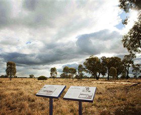 Backroads Trail - Tourism Noosa 2