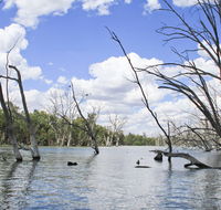 Murrumbidgee Valley National Park - Tourism Noosa