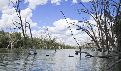 Murrumbidgee Valley National Park - Tourism Noosa 0