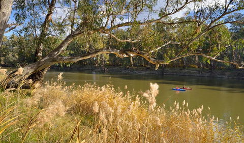 Murrumbidgee Valley National Park - Tourism Noosa 3
