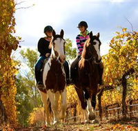 Billabong Ranch - Tourism Noosa