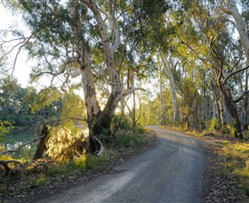 Alton Gallery - Echuca Moama Artists - Tourism Noosa 0