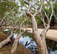 Oyala Thumotang National Park CYPAL - Tourism Noosa