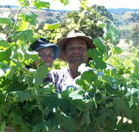 Wimmera Hills Winery - Tourism Noosa