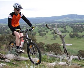 Wimmera Hills Winery - Tourism Noosa 2
