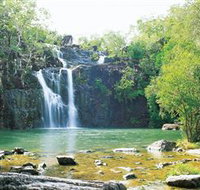 Cedar Creek Falls - Tourism Noosa