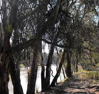 Mia Forest Drives Narrandera - Tourism Noosa