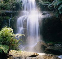 Mount Buangor State Park - Tourism Noosa