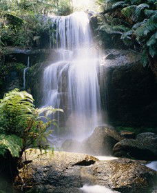 Mount Buangor State Park - Tourism Noosa 0