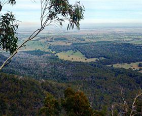 Mount Buangor State Park - Tourism Noosa 2