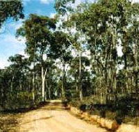 Paddys Ranges State Park - Tourism Noosa