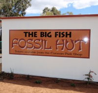 Big Fish Fossil Hut at Peak Hill - Tourism Noosa