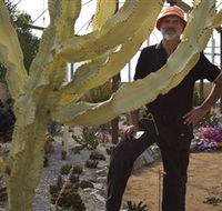 Cactus Country - Tourism Noosa