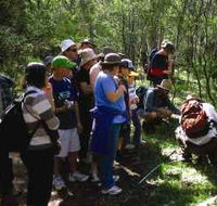 Warrumbungle National Park Discovery Program - Tourism Noosa