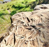 Terramungamine Rock Grooves - Tourism Noosa