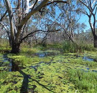 Macquarie Valley Trails - Tourism Noosa