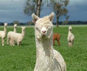 Creswick Woollen Mills - Tourism Noosa 1