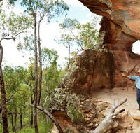 Pilliga National Park - Tourism Noosa