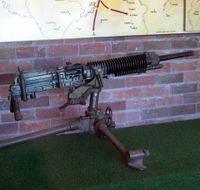 Woodpecker Gun - Tourism Noosa