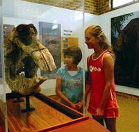 Australian Museum Diprotodon Exhibition - Tourism Noosa