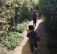 The Tangled Maze  Mistydowns Nursery - Tourism Noosa