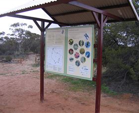 Tamma Parkland - Tourism Noosa 2