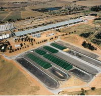 Co-operative Bulk Handling CBH Wheat Storage and Transfer Depot - Tourism Noosa